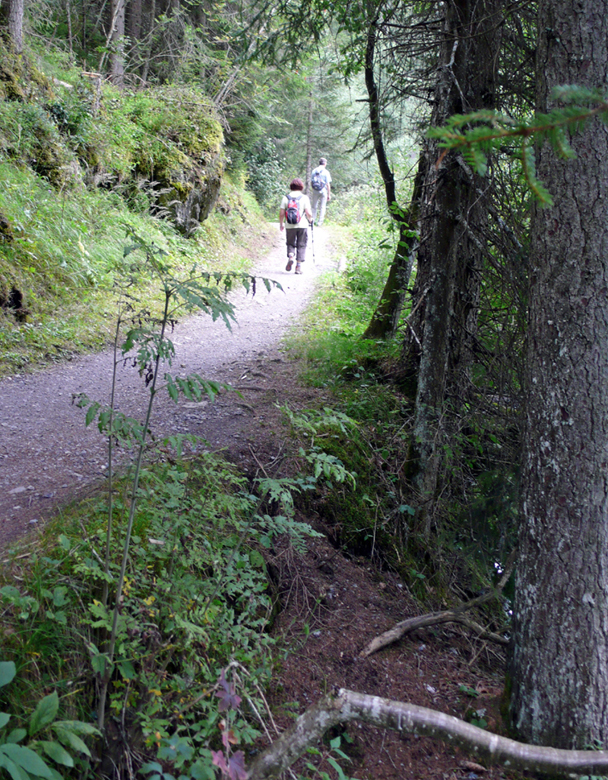 Hiking around the Caumasee  (2011)